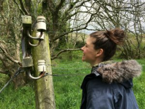 Cass and telegraph pole